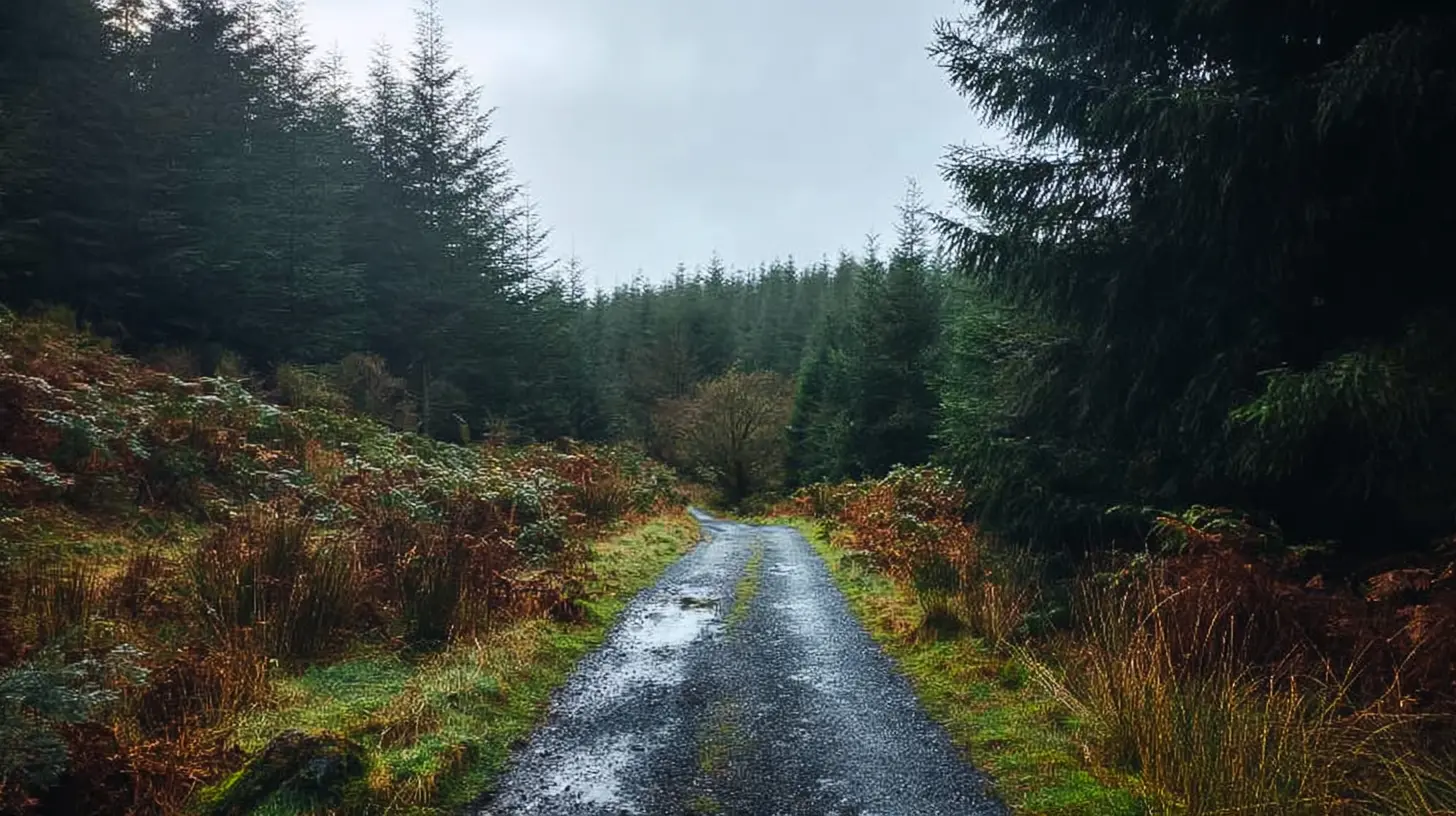 Rabbit Run Full Marathon 2026